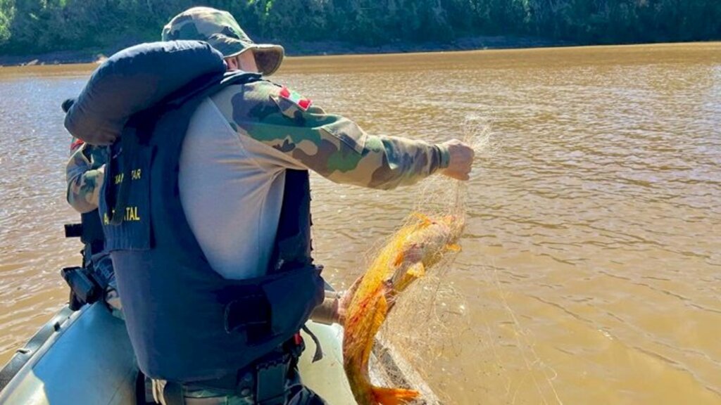 Polícia Ambiental divulga balanço da Operação Piracema 2024/2025